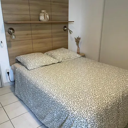 アパート Le Cocon Camarguais 4 Personnes Piscine Climatisation Wifi Parking Prive