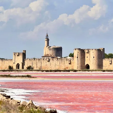 Le Cocon Camarguais 4 Personnes Piscine Climatisation Wifi Parking Prive ル・グロー・デュ・ロワ