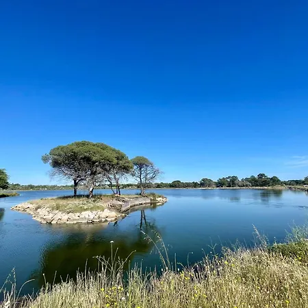 アパート Le Cocon Camarguais 4 Personnes Piscine Climatisation Wifi Parking Prive *